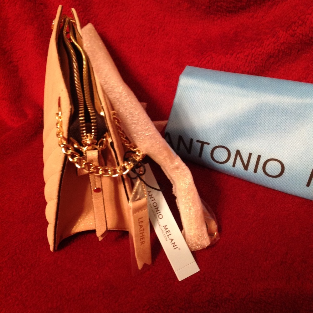 Antonio Melani Rose Gold Crossbody - NWT - Picture 3 of 8